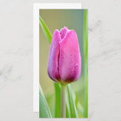 Carte Pink tulip flower (Devant / Derrière)