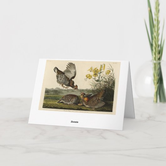 Carte Pinnated Grouse (Dos)