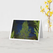 Carte Pins à la Nuit (Fleur jaune)