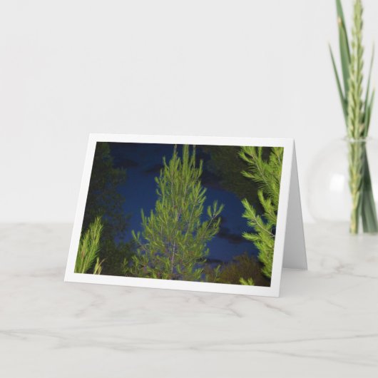 Carte Pins à la Nuit (Devant)