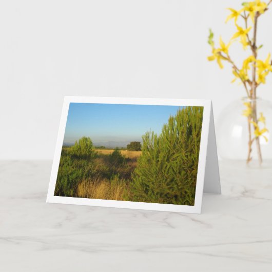 Carte Pins de campagne (Fleur jaune)