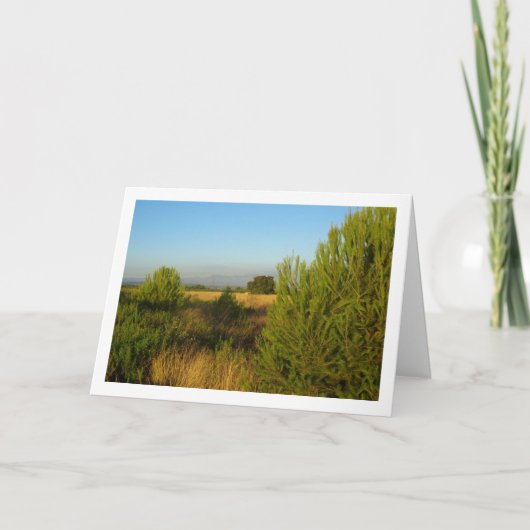 Carte Pins de campagne (Devant)