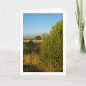 Carte Pins de campagne (Devant)