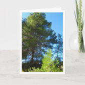 Carte Pins en forêt (Devant)