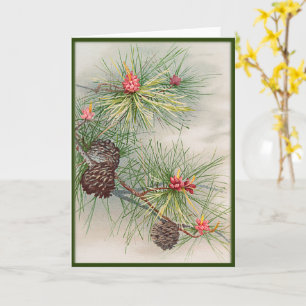 Carte Pins et fleurs Noël