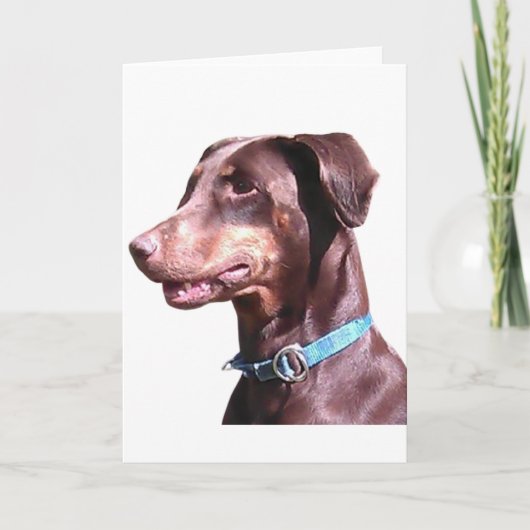 Carte Pinscher Dobermann Rouge (Devant)