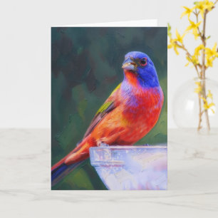 Carte Pinson bariolé sur mangeoire à oiseaux amateur d'o