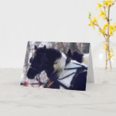 Carte Pinto Brousse Chevaux Anniversaire (Fleur jaune)