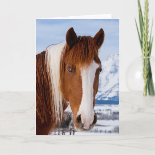 Carte Pinto Horse Mount Moran in Winter