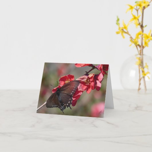 Carte Pipevine Swallowtail Card (Fleur jaune)