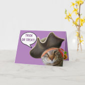 Carte Pirate Chat Happy Halloween (Fleur jaune)