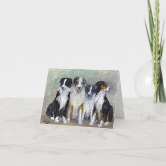 Carte Pirate et filles - bergers australiens