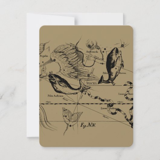 Carte Pisces Constellation Hevelius 1690 févr19 - 20 mar (Devant)