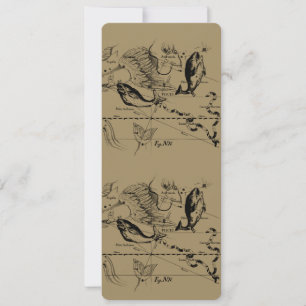 Carte Pisces Constellation Hevelius 1690 févr19 - 20 mar