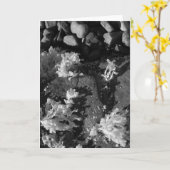 Carte Piscine marémotrice du Maine (Fleur jaune)