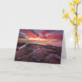 Carte Piscines à Marée à La Jolla, Californie (Fleur jaune)