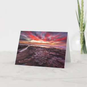 Carte Piscines à Marée à La Jolla, Californie