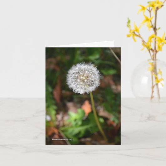 Carte Pissenlit (Fleur jaune)