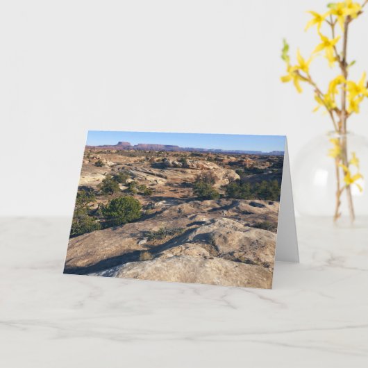 Carte Piste Pothotel Point au parc national des Canyonla (Fleur jaune)