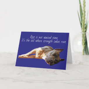 Carte Pit Bull endormi