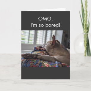 Carte Pit Bull OMG je m'ennuie tellement