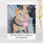 Carte Pit Bull souriant, prenez ça cool (Fleur jaune)
