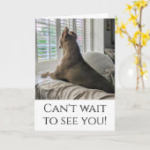 Carte Pit Bull va te voir (Fleur jaune)