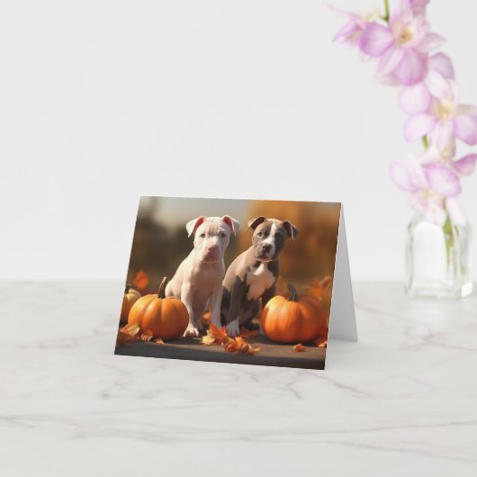 Carte Pitbull chiot automne délice citrouille  (Orchidée)