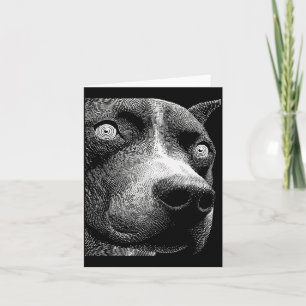 Carte Pitbull hypnotique yeux bizarres weirdcore effraya