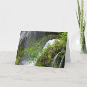 Carte Pittoresque de la cascade verte