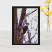 Carte Pivert de Pileated (Fleur jaune)
