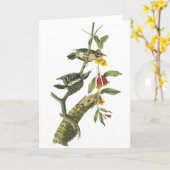 Carte Pivert duveteux - John Audubon (Fleur jaune)