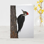 Carte pivert pileated (Fleur jaune)