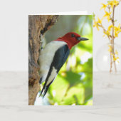 Carte pivert Rouge-dirigé (Fleur jaune)