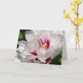 Carte Pivoine "Cora Louise " d'Itoh (Fleur jaune)