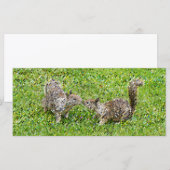 Carte Pixel Art - Deux Écureuils (Devant / Derrière)
