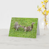 Carte Pixel Art - Deux écureuils (Fleur jaune)