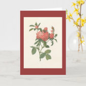 Carte PJ Redoute - Rosa centifolia prolifoliacea (Fleur jaune)