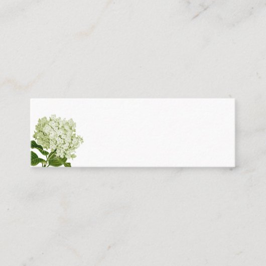 Carte Place blanche Pale Green Hydrangea (Devant)