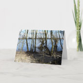 Carte Places perdues, Arbres sur la rive de la rivière (Devant)