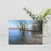 Carte Places perdues, Arbres sur la rive de la rivière (Debout devant)