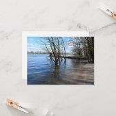 Carte Places perdues, Arbres sur la rive de la rivière (Devant/Arrière en situation)