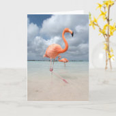 Carte Plage Aruba de Flamants roses (Fleur jaune)