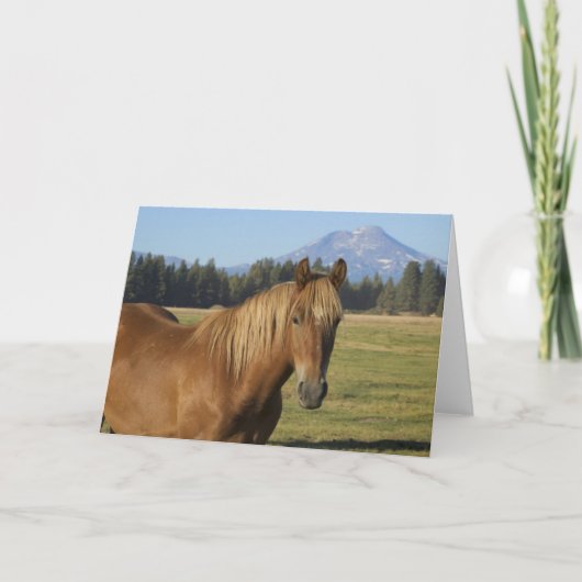 Carte Plage Cascade | Cheval de châtaignes (Devant)