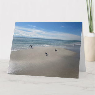 Carte Plage d'amour