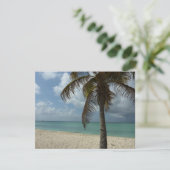 Carte Plage d'Aruba I Belle Scène Nature (Debout devant)