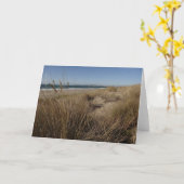 Carte Plage de Limantour à Point Reyes II (Fleur jaune)