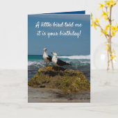 Carte Plage isolée de Gull Bird à Paradise pour un anniv (Fleur jaune)