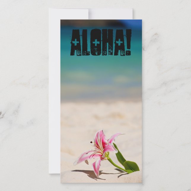 Carte Plage Lily (Devant)