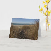 Carte Plage Limantour à Point Reyes National Seashore I (Fleur jaune)